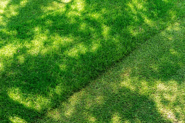 Прямая диагональная линия скошенной высокой травы на заднем дворе или в городском парке. Уборка саженцев и концепция ухода за садом. Газонокосилка на заднем плане с полуденными тенями — стоковое фото
