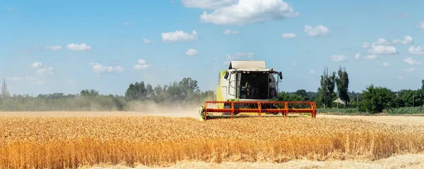 Scénický pohled zepředu Velký silný průmyslový kombinovaný stroj sklízející zlaté zralá pšeničná pole za jasného letního nebo podzimního dne. Zemědělské žluté pole stroje krajina pozadí — Stock fotografie