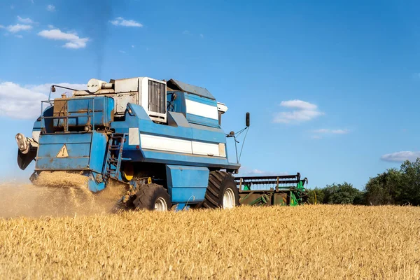 Scenic front view Big powerful industrial combine harvester machine reaping golden ripe wheat cereal field on bright summer or autumn day. Agricultural yellow field machinery landscape background — Stock Photo, Image