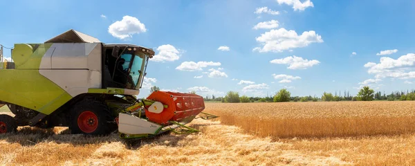 Scenic side profile view Big powerful industrial combine harvester machine reaping golden ripe wheat cereal field bright summer or autumn day. Agricultural yellow field machinery landscape background — Stock Photo, Image