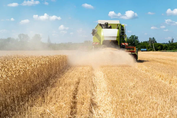 風景フロントビュー明るい夏や秋の日に黄金の熟した小麦のシリアルフィールドを読み取る収穫機を組み合わせた大きな赤の強力な産業。農業用イエローフィールド機械景観の背景 — ストック写真