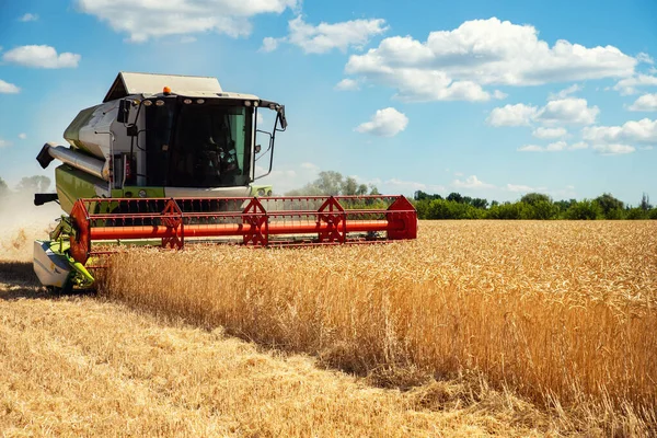 Scenic front view Big powerful industrial combine harvester machine reaping golden ripe wheat cereal field on bright summer or autumn day. Agricultural yellow field machinery landscape background — Stock Photo, Image