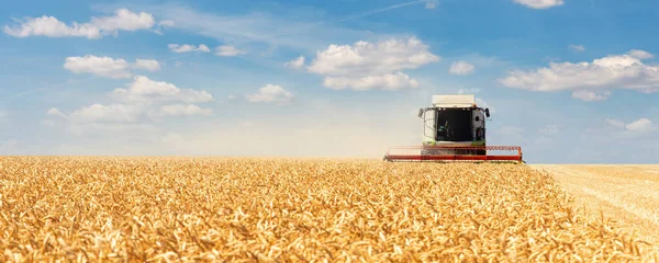 風景フロントビュー大規模な近代的な産業は明るい夏の日に黄金の熟した小麦の穀物畑の牧草地を収集収穫機の読書を結合します。農業用イエローフィールド機械景観の背景 — ストック写真