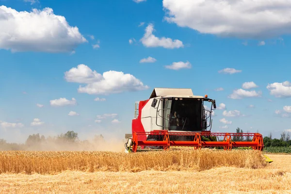 Scenic front view Big powerful red industrial combine harvester machine reaping golden ripe wheat cereal field on bright summer or autumn day. Agricultural yellow field machinery landscape background — Stock Photo, Image