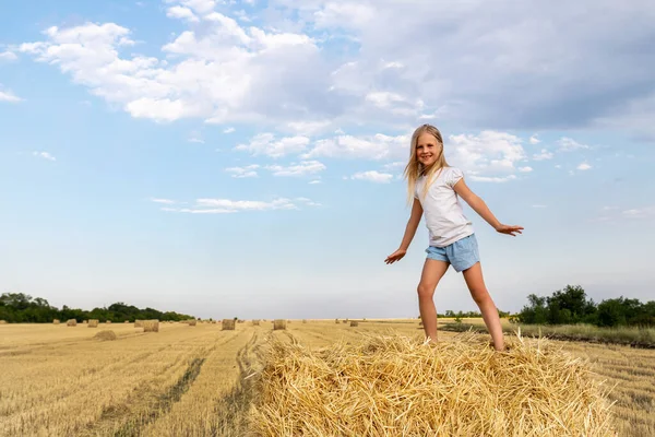 Portrét roztomilé malé blond krásné rozkošné veselý kavkazský dítě dívka těšit sedí na stohu sena nebo balík na sklizené pšeničné pole teplý letní večer. Scénická venkovské země krajina pozadí — Stock fotografie