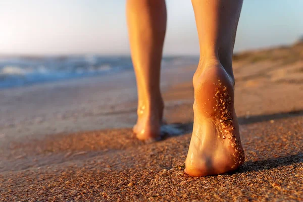 Acercamiento detalle inferior detrás de pov vista de persona bastante femenina piernas descalzas talón caminando por el océano de arena escénica o playa de mar en la cálida mañana del amanecer dorado. Naturaleza salvaje viaje y concepto de vacaciones — Foto de Stock