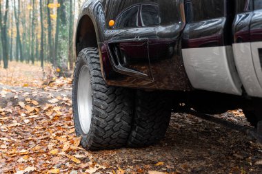 Sonbahar ormanı kırsal kesiminde süper güçlü kamyonet aracının çift yönlü çift yönlü off-road performans çarkının yakın görüntüsü. Sonbahar ormanı off-road araç sürücüsü