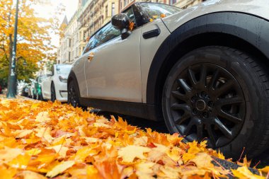 Huysuz manzaralı ön far manzaralı modern gri arabanın ön camı altın sarısı düşmüş yaprakları kaplamıştı ıslak şehir caddesinde sonbahar yağmurlu günlerinde. Bulutlu yağmur yolu sürücüsü. Mevsimsel hava koşulları.