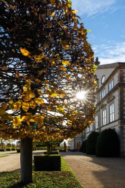 Güneş ışığı sonbahar yaprakları boyunca parıldar zarif saray cephesinin yanında ılık bir parıltı yaratır. Kesilmiş ağaçlar ve yumuşak gölgeler parlak gökyüzünün altında huzurlu bir bahçe ortamı oluşturur..