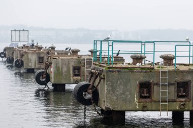 Beton liman platformları Wismar limanında sisli gökyüzünün altında durgun sularda yüzen deniz kuşları. Sessiz Baltık sahnesi deniz altyapısı, vahşi yaşam varlığı ve endüstriyel durgunluğu harmanlıyor.