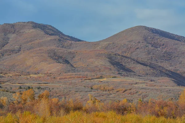 犹他州尤尼塔山区尤尼塔国家森林美丽的秋叶色彩 — 图库照片