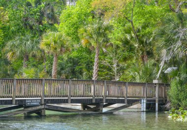 Wekiwa Springs Eyalet Parkı, Apopka, Seminole County, Florida 'daki Wekiwa Nehri' nin zümrüt rengi üzerinde yürüyen köprü.