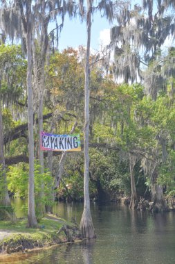 Shingle Creek 'te kayak yaparken. Shingle Creek Bölge Parkı, Osceola County, Kissimmee, Florida