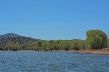 Prescott, Yavapai County, Arizona 'daki Watson Gölü' nün güzel yüksek irtifa güney kıyısı.