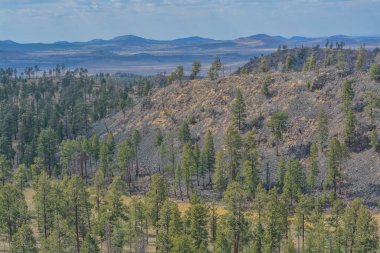 Apache Sitgreaves Beyaz Dağlar, Arizona Ulusal Ormanı 'ndaki yüksek irtifanın güzel manzarası.
