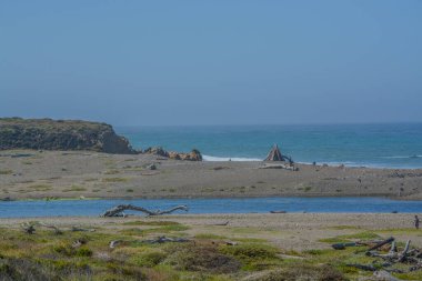 San Luis Obispo County, Kaliforniya 'da, San Simeon' da Pasifik Okyanusu kıyısındaki kayalık sahil şeridi.