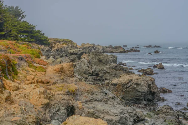 Rocky Coastline Mackerricher State Park Pacific Ocean Fort Bragg Mendocino — Stock Photo, Image