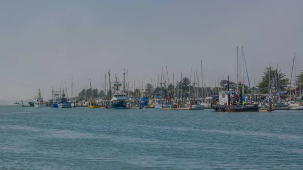 位于港口城市尤里卡的伍德利岛码头 位于加利福尼亚州洪堡县洪堡湾港口 — 图库照片