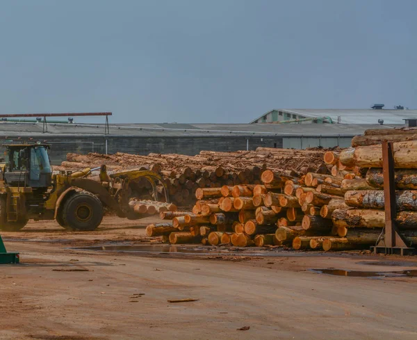 製材所に積層されたログは 木材に切断する準備ができています カリフォルニア州フンボルト郡ユーレカに位置 — ストック写真