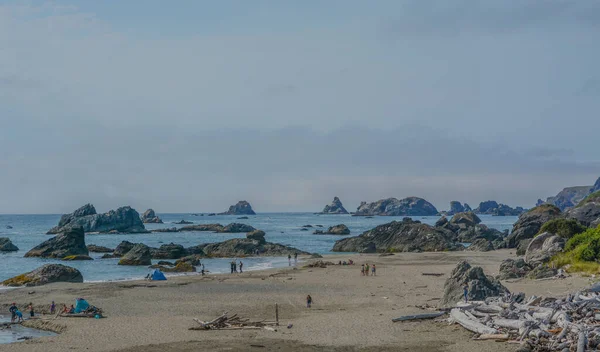 Lone Ranch Beach Rocky Coastline Pacific Ocean Brookings Curry County — Stock Photo, Image