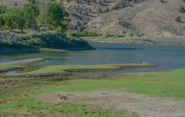 Baker City, Baker County, Oregon 'daki Unity Lake State Park' ta.