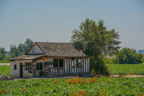 Case Vuote Fatiscenti Nelle Campagne Nyssa Contea Malheur Oregon — Foto Stock