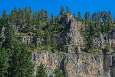 Savoy, Lawrence County, Güney Dakota 'daki Spearfish Kanyonu.