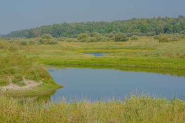 Mississippi Nehri 'nin akıntıları Cass County, Minnesota' da