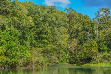 Missouri 'deki Ozark Ulusal Sahne Nehir Yolu' nun vahşi doğasından akan akarsu.
