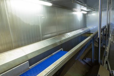 Meyveler, meyveler ve sebzeler için dondurucu bölmedeki taşıyıcı bant.