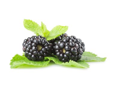 Blackberry ve nane birkaç çilek beyaz bir arka plan üzerinde bırakır. İzole