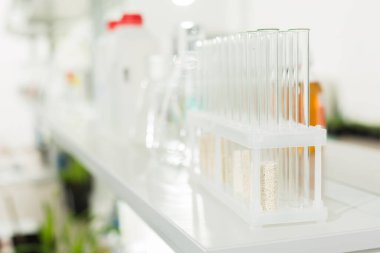 Glass test tube with chemicals in the laboratory. Concept: Research