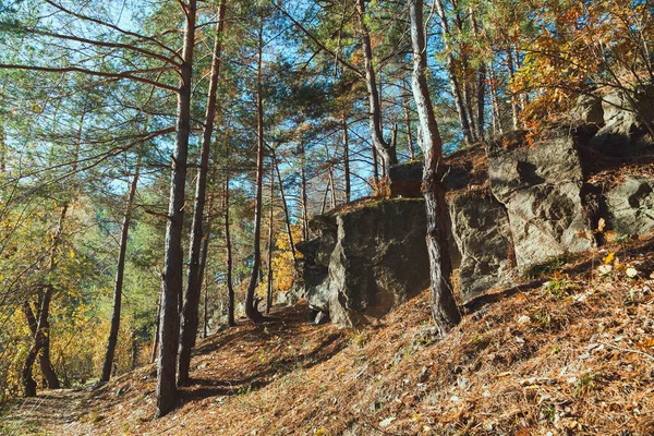 Skála Podzimním Lese Časně Ráno — Stock fotografie