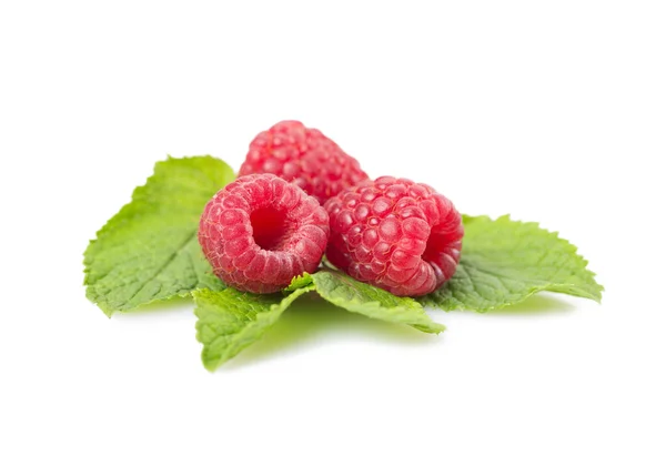 Mehrere Beeren Himbeeren Und Minze Blätter Auf Einem Weißen Hintergrund — Stockfoto