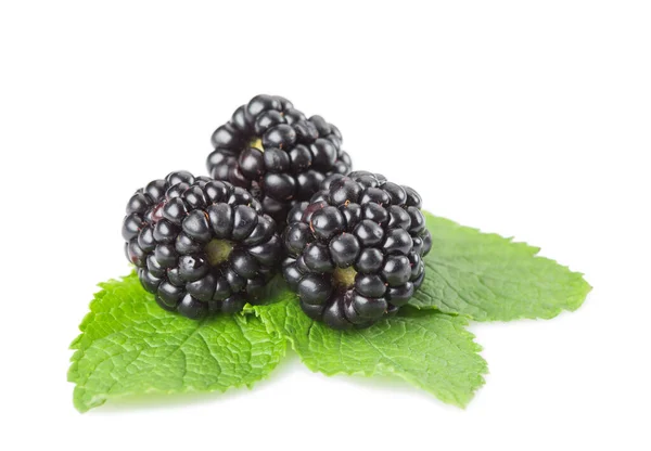 Several Berries Blackberry Mint Leaves White Background Isolated — Stock Photo, Image