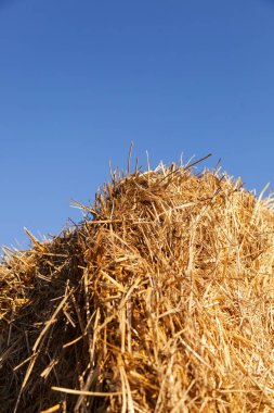 Haystack on the blue sky background. Vertical.
