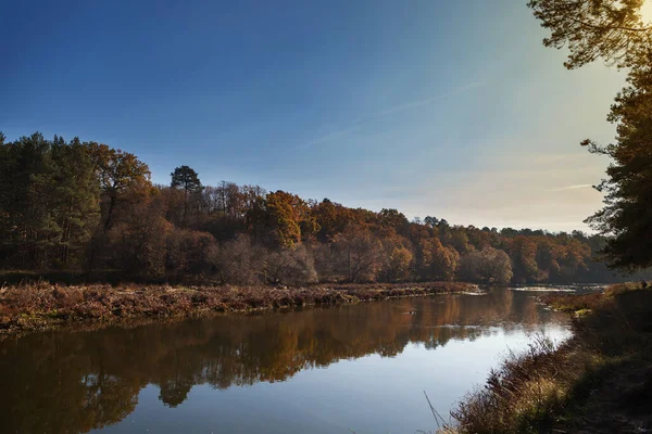 Podzimní Krajina Stromy Podél Klidné Řeky Odrazem Vodě — Stock fotografie
