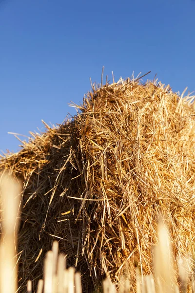 Haystack Blue Sky Background Vertical — Foto Stock