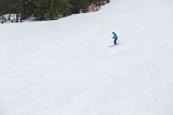 山の斜面は雪で覆われている それに沿って木が成長する スキーヤーが坂を滑り降りる — ストック写真