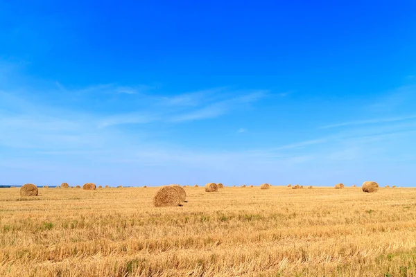 Straw Bales Waiting Collection Field Autumn Blue Cloudy Sky — Stock Photo, Image