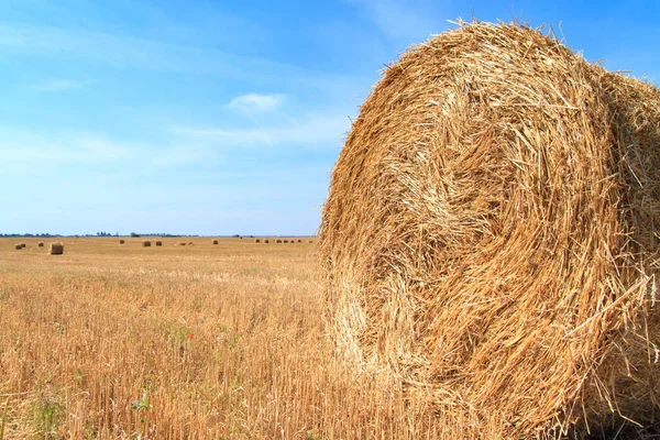 Halmbalar Väntar Uppsamling Ett Fält Hösten Blå Molnig Himmel — Stockfoto