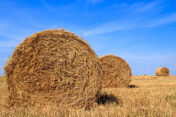 Straw Bales Waiting Collection Field Autumn Blue Cloudy Sky — Stock Photo, Image
