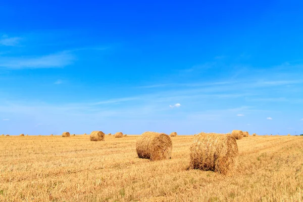 Straw Bales Waiting Collection Field Autumn Blue Cloudy Sky — Stock Photo, Image