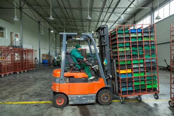 Worker driver of a forklift loader at warehouse transports boxes with cherry.