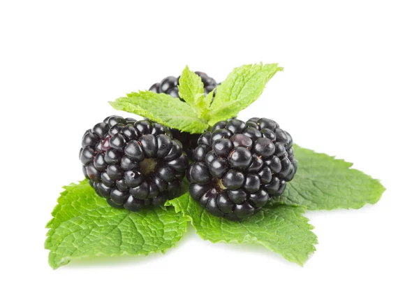 Varios Frutos Zarzamora Menta Hojas Sobre Fondo Blanco Aislado — Foto de Stock