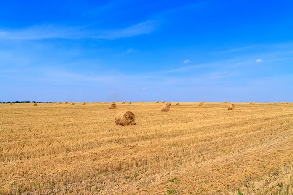 Balle Paglia Aspettano Raccolta Campo Durante Autunno Sotto Cielo Nuvoloso — Foto Stock