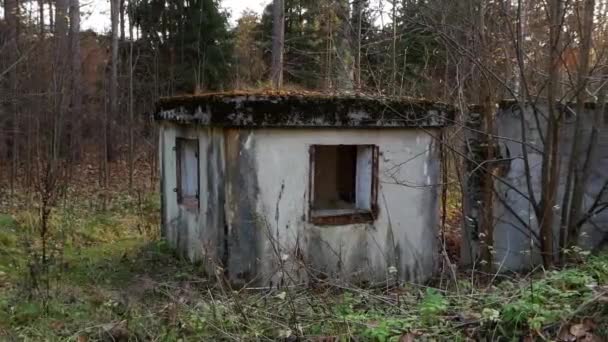 Cabine de concreto abandonada na floresta. — Vídeo de Stock
