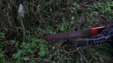 Bahçıvan bir el testeresiyle ağaç dallarını keser..