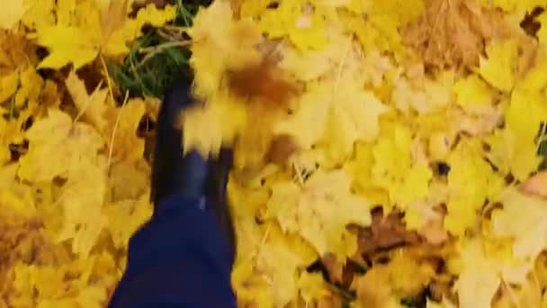 Hommes pieds en bottes noires marcher sur des feuilles sèches tombées. — Video