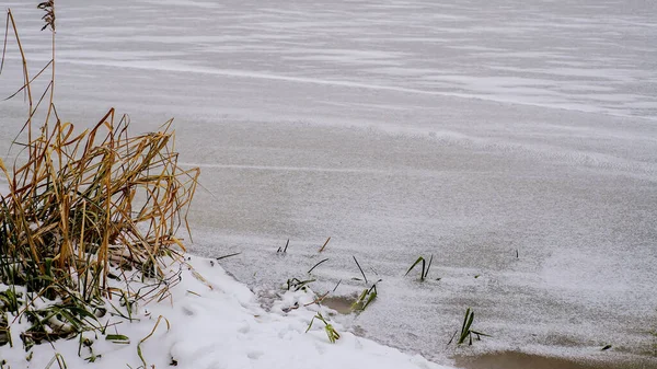 Fiume ghiacciato e sponda innevata con erba secca. — Foto Stock